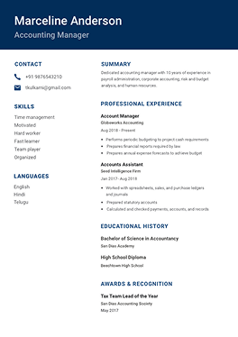 Resume template 2